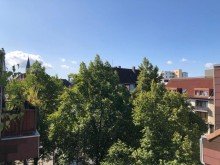  bereits vermittelt
