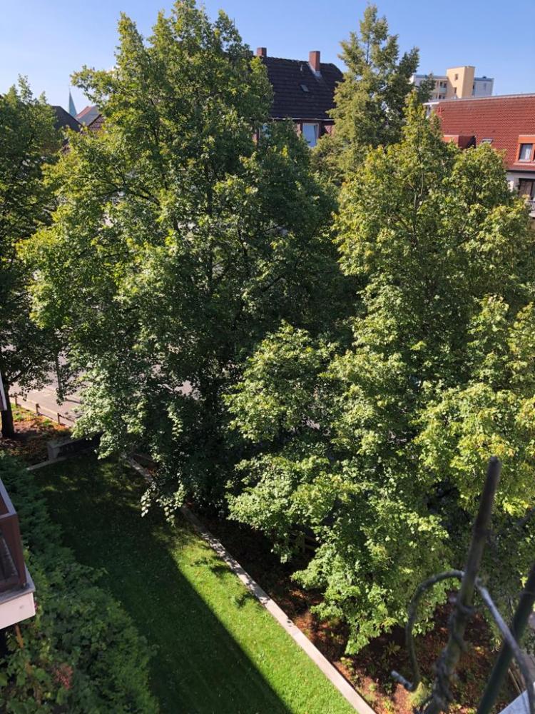  Dachgeschosswohnung Braunschweig